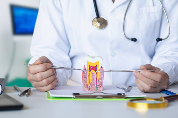Best Broken or Cracked Tooth Emergency Dentist in Panama, OK